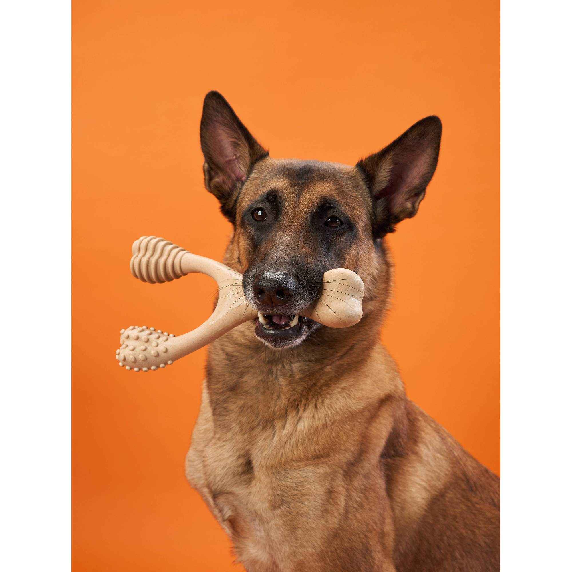 BetterBone HARD Chew Toy
